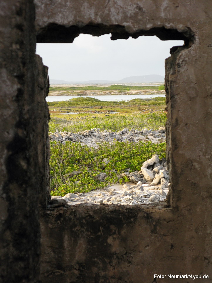0013 Insel Bonaire 2009